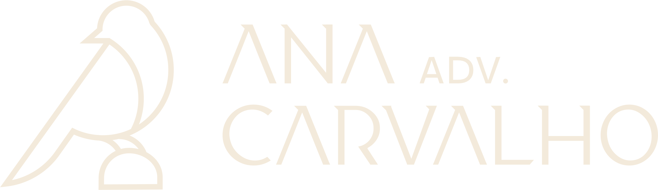 Ana Carvalho Advocacia